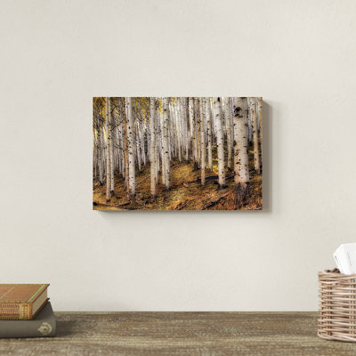 «Aspen Woods», photographie sur toile