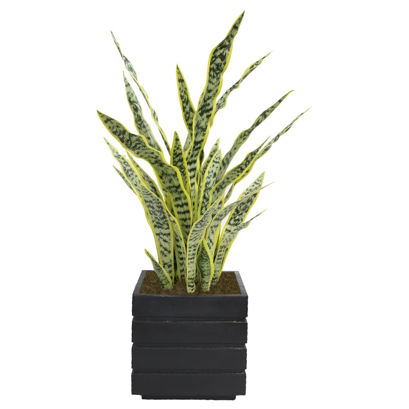 42 " H Faux Agave Tree in Fiberstone Planter