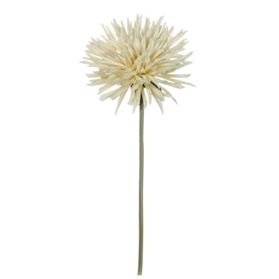 Tige de dahlia Curtin