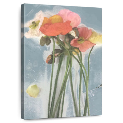 Harnek Poppy Spray I