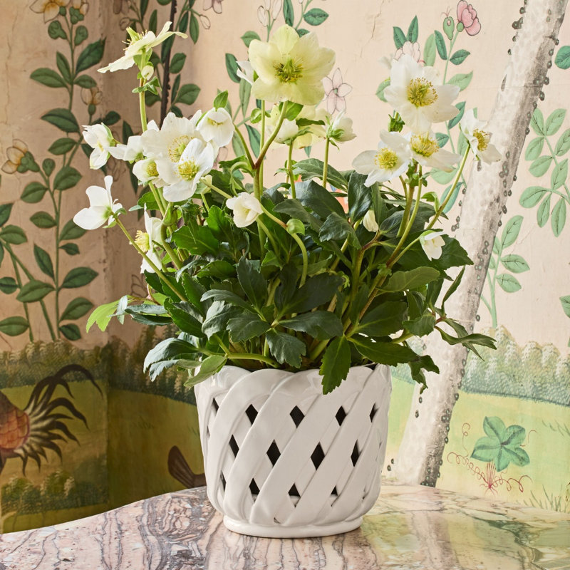 Aria Ceramic Planter
