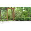 Tonnelle en bois pour le jardin