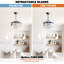 36'' Ceiling Fan with Light Kit
