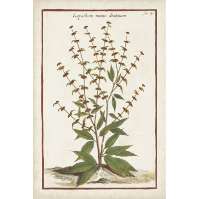 Munting Botanicals III