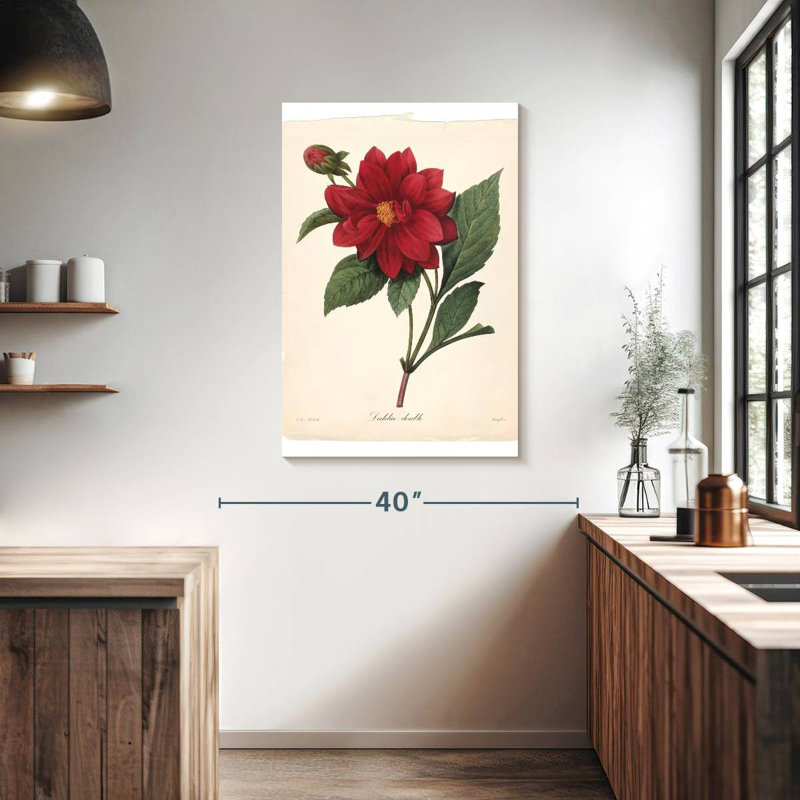 Harnek Red Botanical II, H 39 po x l 26 po