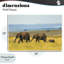 Éléphants dans la prairie, plaque murale, design par Renel Peters-740834857