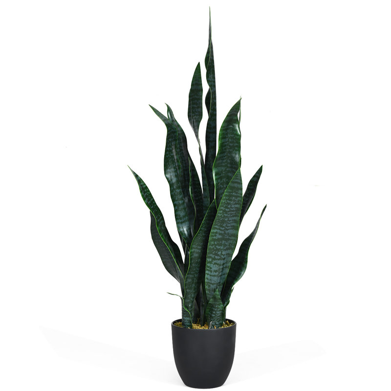 36 po Faux Snake Plant en pot