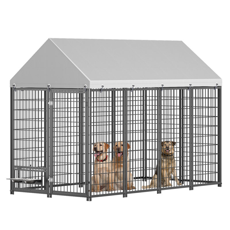 Grand enclos extérieur pour chien