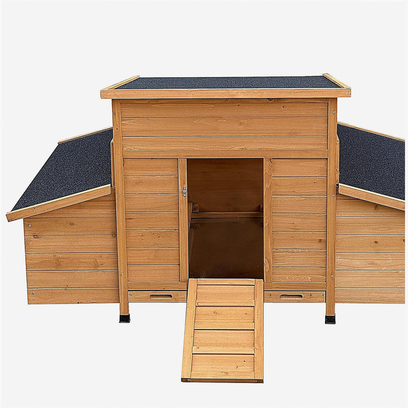 chicken coop