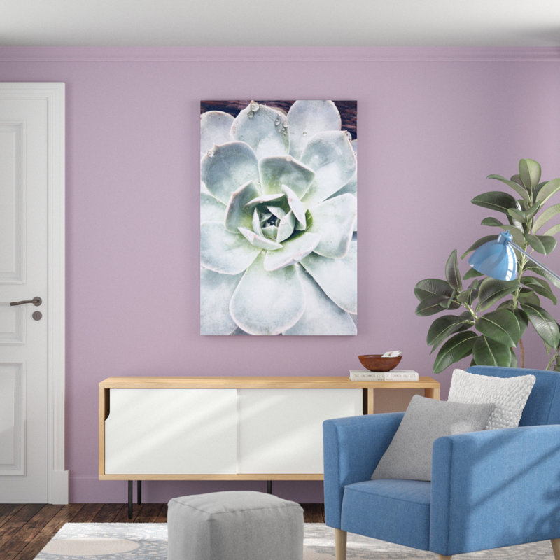 Pastel Succulent Beauty IV by Irena Orlov - Photograph Print, 122cm H x 81cm W, Wrapped Canvas