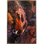 Warm Infusion Print-331081818