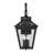 Manwe 4 - Bulb 25.5" H Outdoor Wall Lantern in Black-1907857083