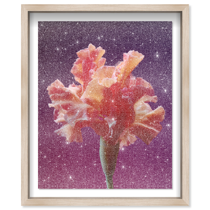 Taffeta Twilight I Print by Oliver Gal, 31.5"H x 37.5"W, Natural Oak Shadowbox