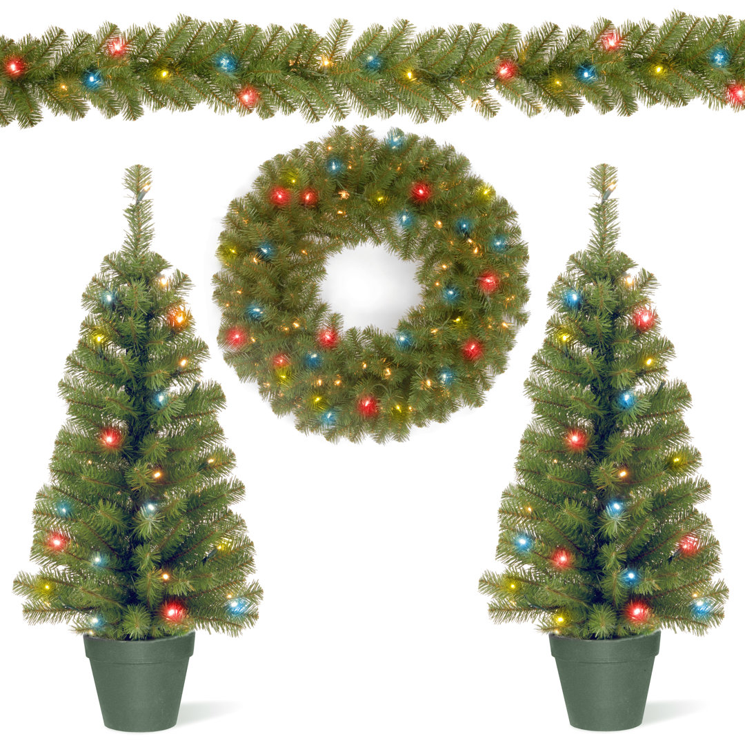 Promotional Assortment with Battery Operated LED Lights The Holiday Aisle®