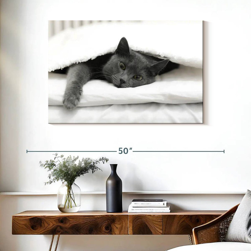 Chat paresseux Brampt, H 26 po x l 39 po