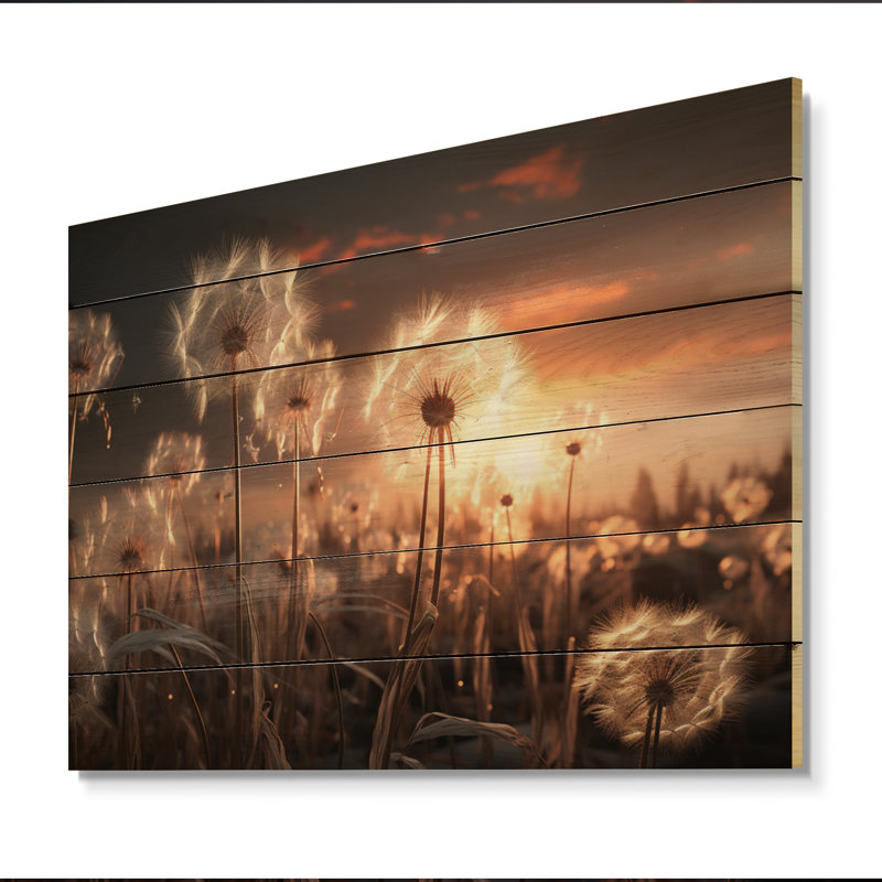 " Sunset Dandelion Field III ", 24" H x 32" W x 0.78" D