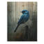 Oiseau bleu dans la forêt, pluie II - Art mural en bois oiseau - sur bois de pin naturel-293940737