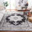 Damyon Performance Oriental Rug-1730935932