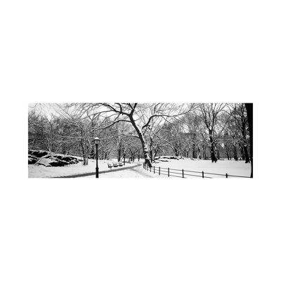 Bare Trees During Winter In A Park, Central Park, Manhattan, New York City, New York State, USA by Panoramic Images - Wrapped Canvas Panoramic Print