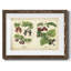 Cuisine fruits III-285017812-285017813