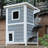 Chitose Cat House-1221962458
