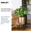 Metallic Concrete Effect Cylinder Round Planter on Hardwood Legs, Round Indoor Plant Pot Stand for Indoor Plants, Indoor Flower Pot-1091484465-1091484466