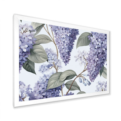 " Purple Ang Gray Lilac Fragrant Blooms II "