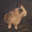 Uttermost Resting Bunny Framed Prints