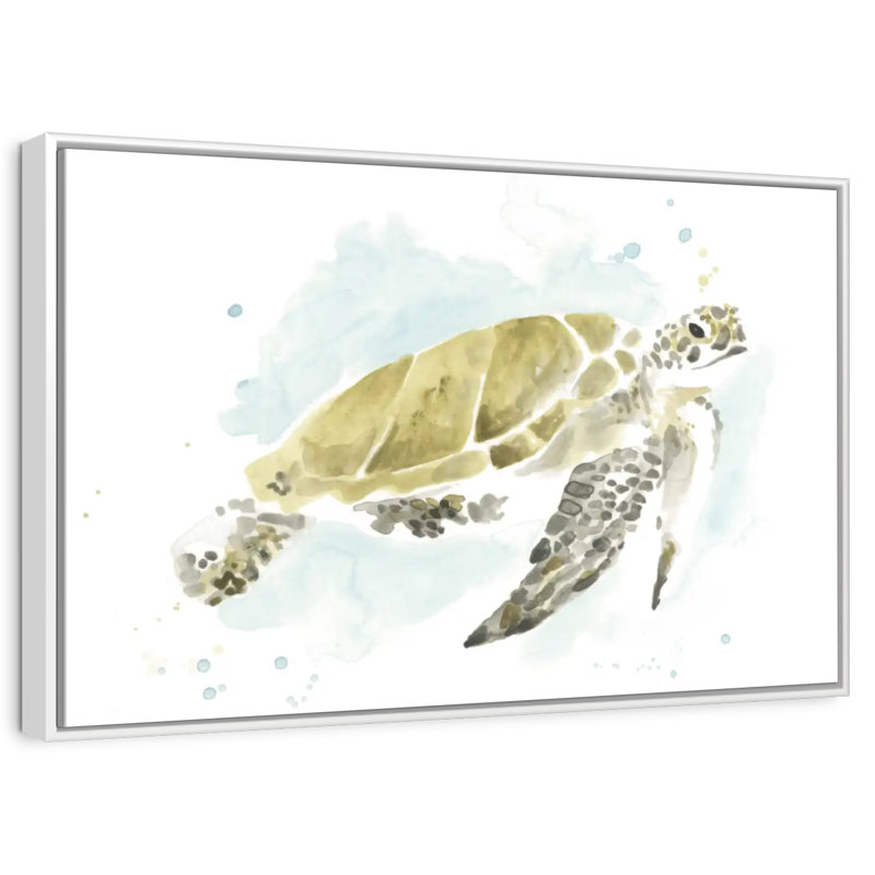 Étude de tortues de mer à l'aquarelle I, Cadre flottant blanc, 37 po x 25 po