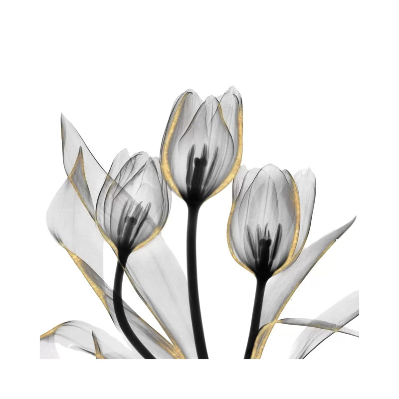 Gold Embellished Tulips V by Albert Koetsier - Wrapped Canvas Print, 45.72 cm H x 45.72 cm W x 1.91 cm D