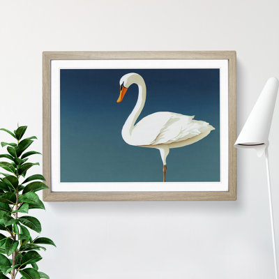 Impressive Swan - Single Picture Frame Print