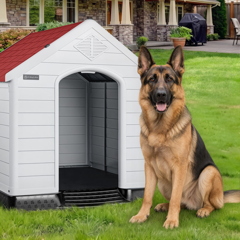 Niche pour chien en plastique Aunyae, Rouge, H 28 po x l 26 po x P 29 po