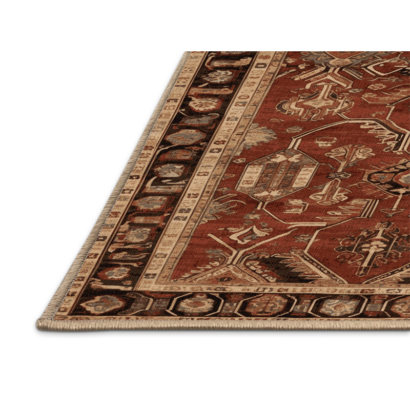 Tapis brun turc lavable à la machine, Rectangulaire 3 pi x 5 pi