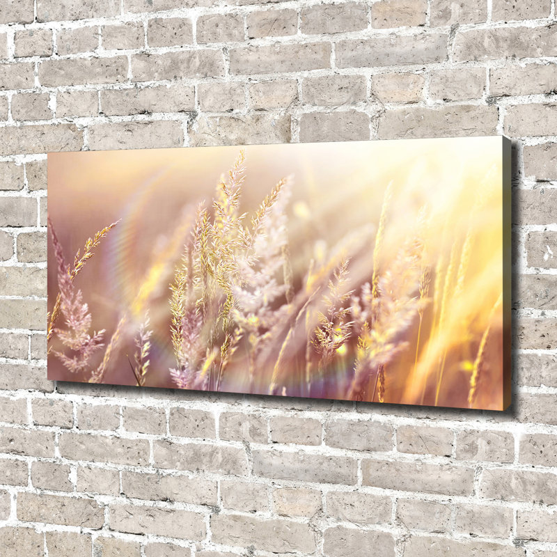Tall Grass - Wrapped Canvas Print