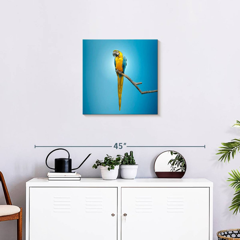 Crowle Macaw, 20" H x 20" W