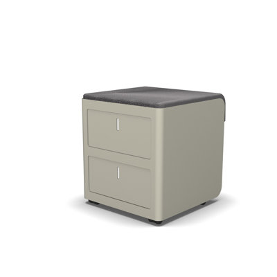 Estep 45cm Wide 2 -Drawer Mobile File Cabinet