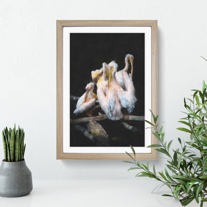 Pelicans - Framed Print, 36cm H x 27cm W x 2cm D, Oak Framed