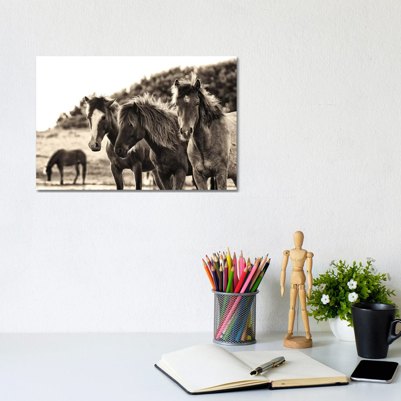 Horses Three Sepia by Aledanda - Wrapped Canvas Print, 20.32 cm H x 30.48 cm W