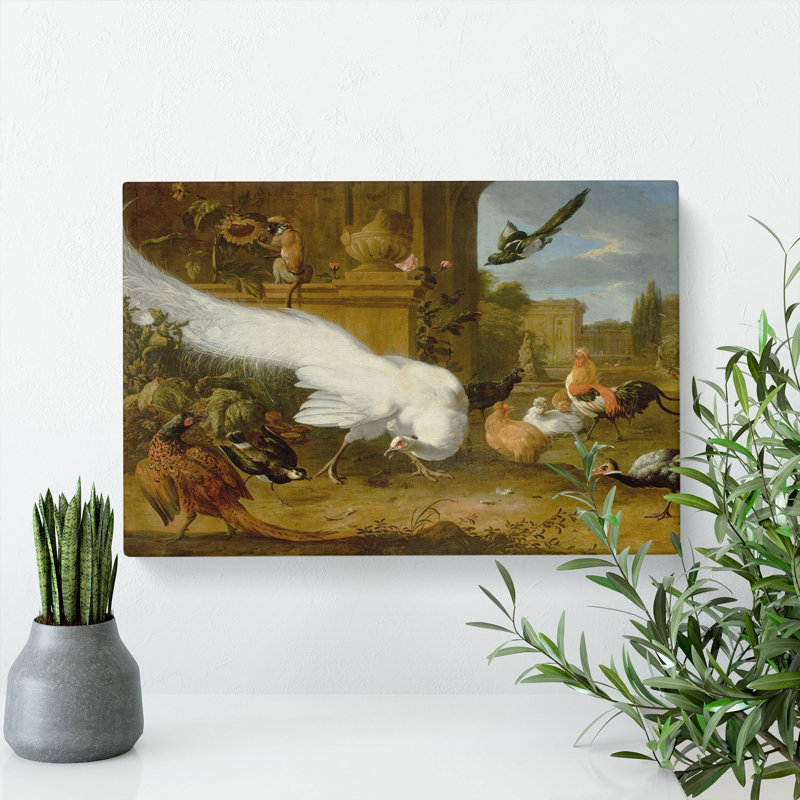 Fowls And A White Peacock by Melchior DHondecoeter - Wrapped Canvas, 50cm H x 76cm W x 3cm D