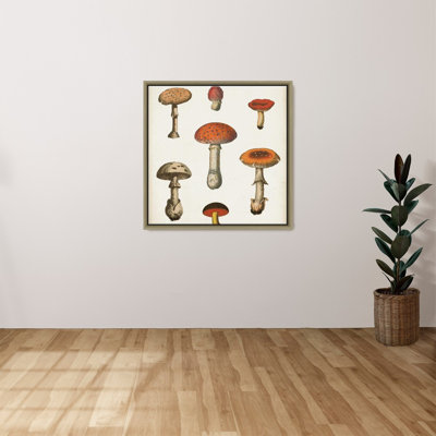 «Mushroom Chart III Light» par Wild Apple Portfolio - impression sur toile