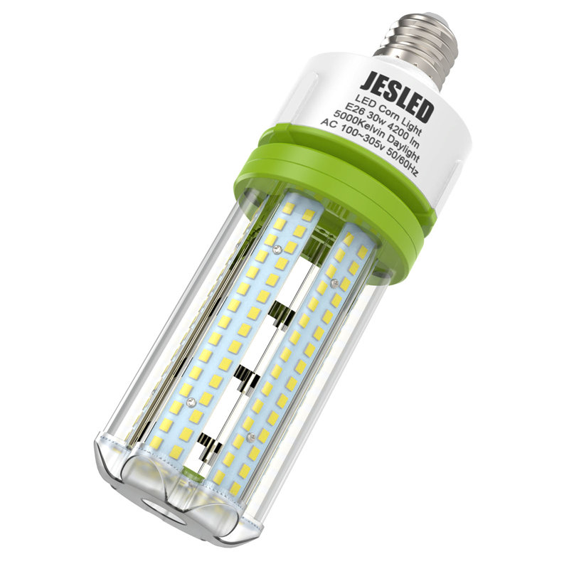 Ampoules à DEL E26 30W 5000K 100-305V