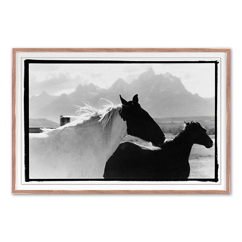 Letting Go Print by Raab, Amy, 30'' H x 45'' W, Walnut Single Picture Framed