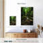 Chutes de la jungle d'Hannes-106964224