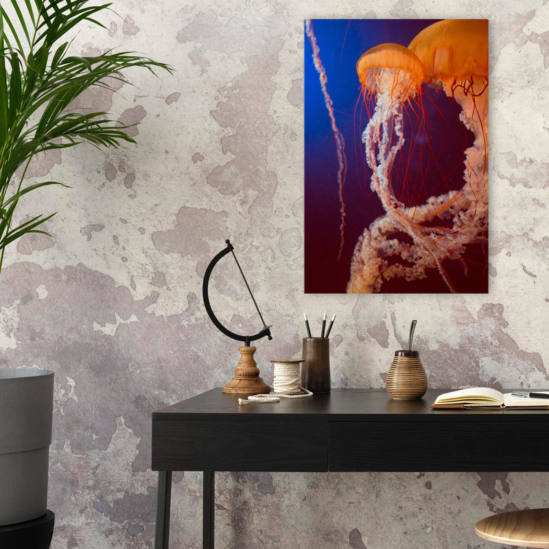 Jelly 3 - photographie d'art animalier, H 24 po x l 16 po