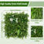 Plant-1130021880-1130021876