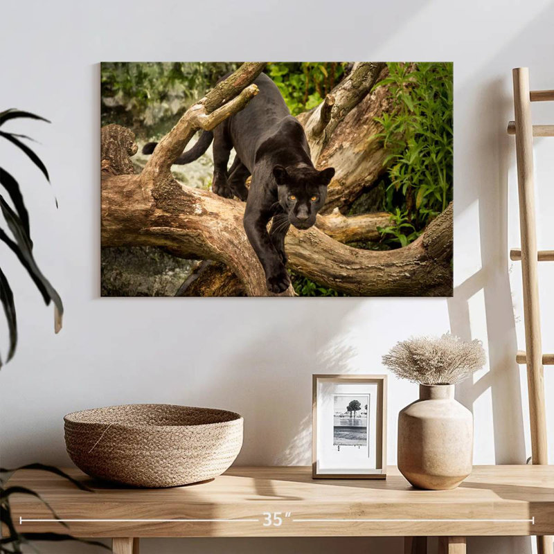 Brampt Prowling Black Jaguar, 16" H x 24" W