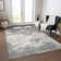  Machine Washable Indoor/Outdoor Chayden ACN1027 Black Rug