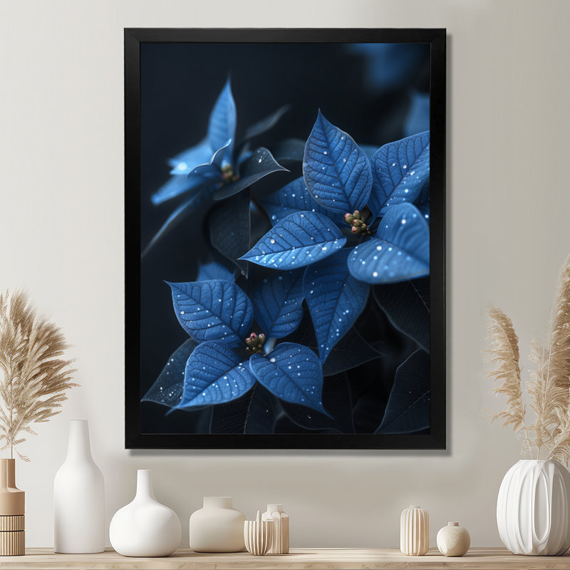 «Blue Poinsettias Nocturnal Nirvana» - impression d'art mural poinsettias, Impression noire sur toile encadrée