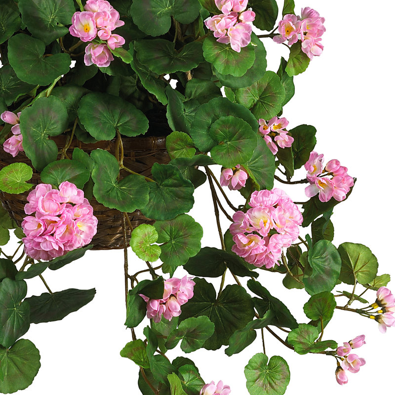 Geranium Hanging Basket Arrangement in Basket