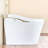 Contemporary Smart Toilet With Bidet Function, Auto Flush System, Automatic Lid Open/Close, Heated Seat Customizable Warmth, Warm Water Wash, Air Dry, Foam , Foot Sensor, Comfort Height Bidet, Flush,-129628779